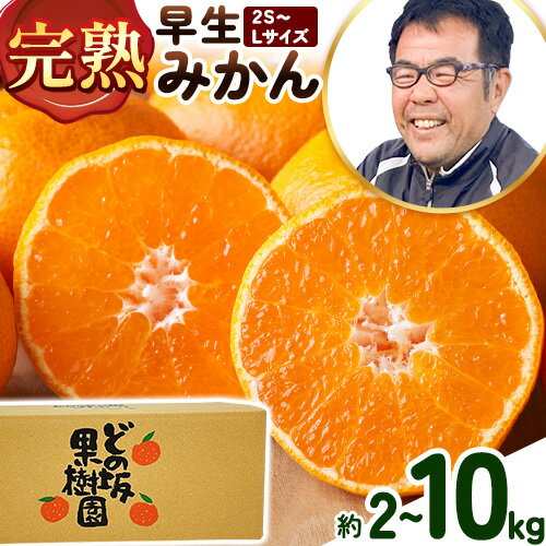 【先行予約】早生みかん サイズおまかせ 選べる 内容量 約 5kg 約10kgどの坂果樹園《12月上旬-1月末頃出荷予定》和歌山県 日高町 みかん 早生 旬 柑橘 フルーツ 果物 蜜柑 ミカン