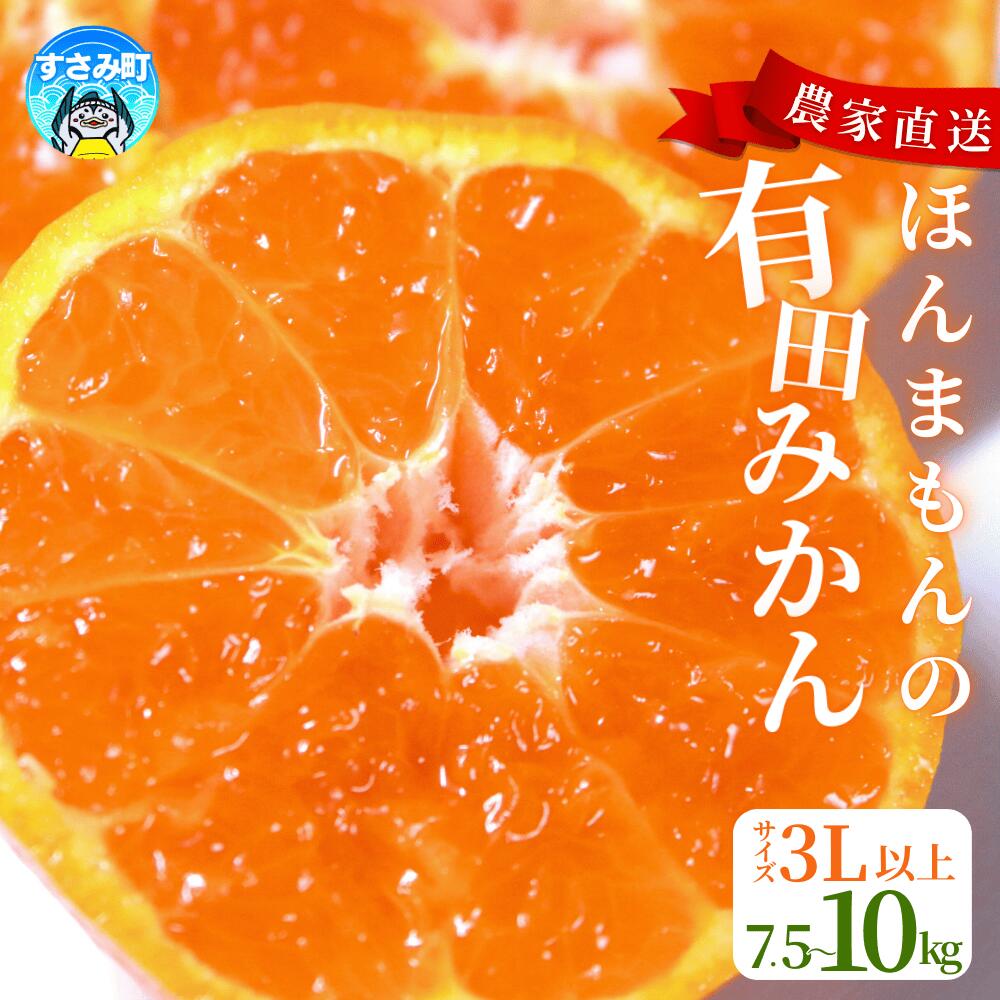 びっくり有田みかん 大玉 3L以上 ファミリー層 高評価★★★★★【選べる容量】 / 訳あり ご家庭用 訳ありみかん 有田みかん フルーツ 果物 7.5kg 10kg 12000円 15000円 先行予約 農家直送 【※11月中旬~12月下旬に順次発送(お届け日指定不可)】