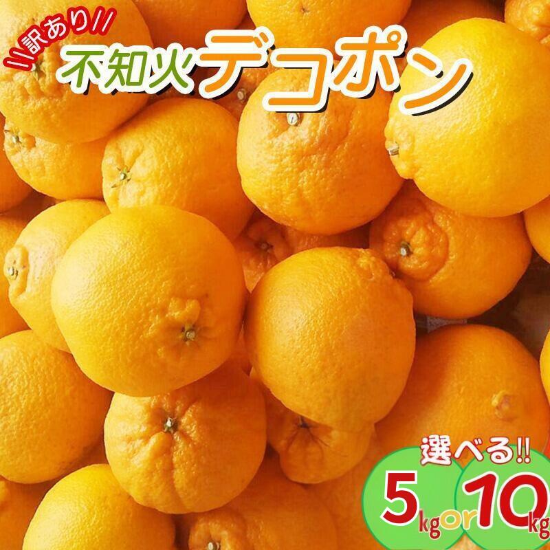 【訳あり】 \光センサー選別/ちょこっと訳あり不知火デコポン 約5kg・10kg ご家庭用 先行予約 【2026年2月中旬より順次発送予定(お届け日指定不可)】 訳ありデコポン ワケあり ワケアリ