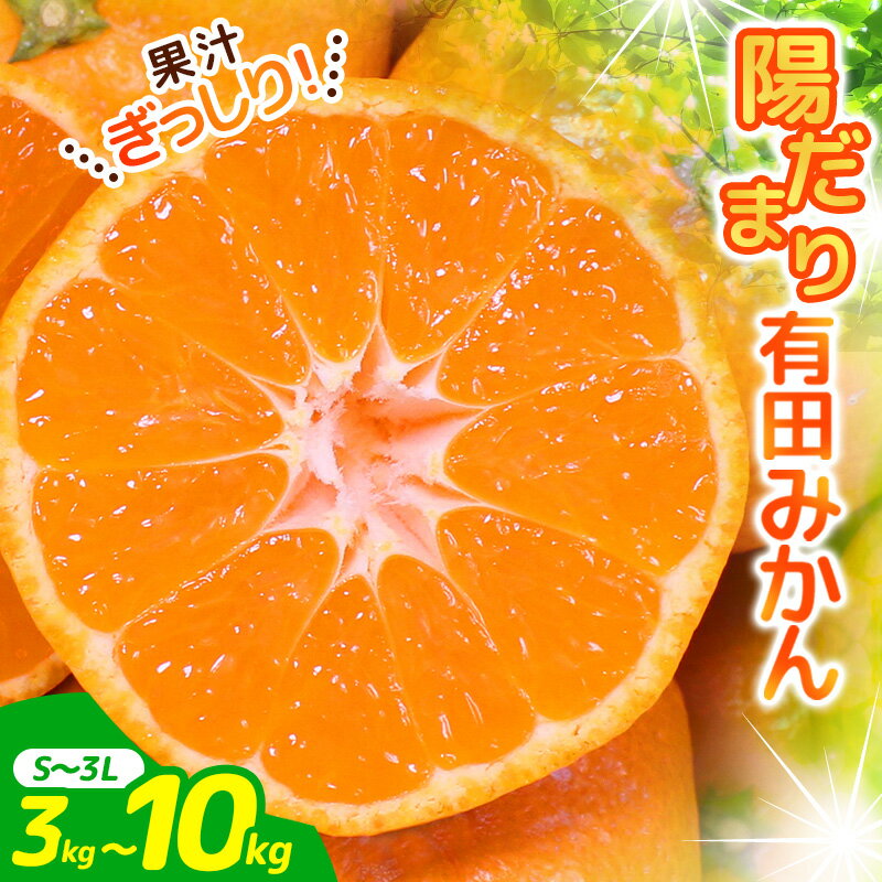 有田 みかん 3kg〜10kg(S~Lまたは2L〜3L) 手選別で厳選 【11月下旬〜1月中旬ごろに順次発送予定】 温州みかん ひだまりみかん 2L 3L 3kg 5kg 10kg 15000円 家庭用 フルーツ 果物 柑橘 産地直送 手選別 厳選 蜜柑 先行予約 デザート 和歌山 古座川町