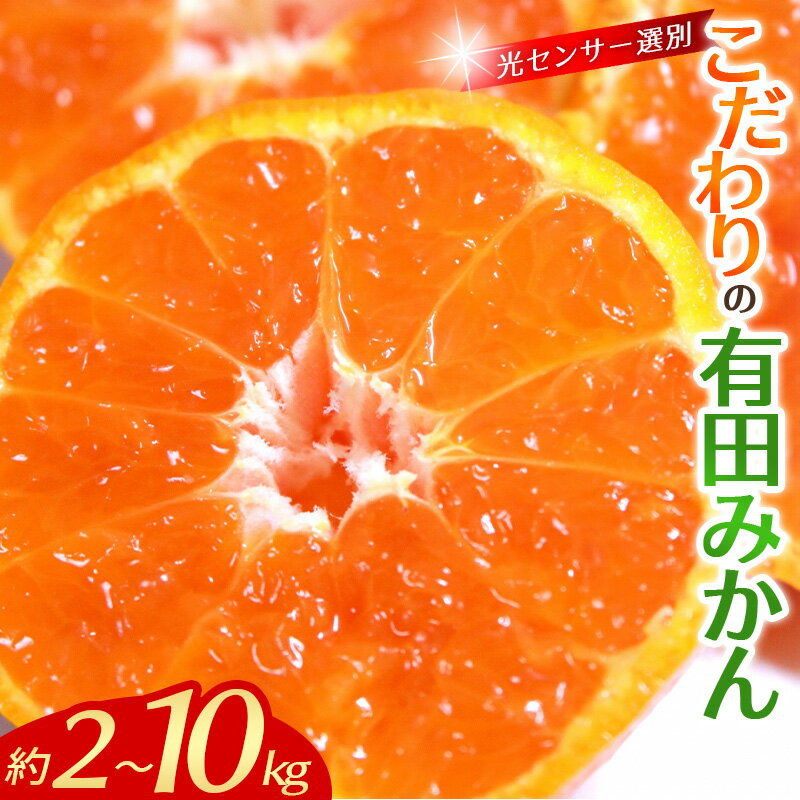 みかん こだわりの 有田みかん ご家庭用 容量・発送時期 選べる【2kg~10kg / 2025年11月/ 12月発送から選べます】(日付指定不可)/ 温州ミカン 蜜柑 柑橘 フルーツ 果物 光センサー デザート 有機肥料100% 2kg 4kg 6kg 8kg 10kg 和歌山県 古座川町