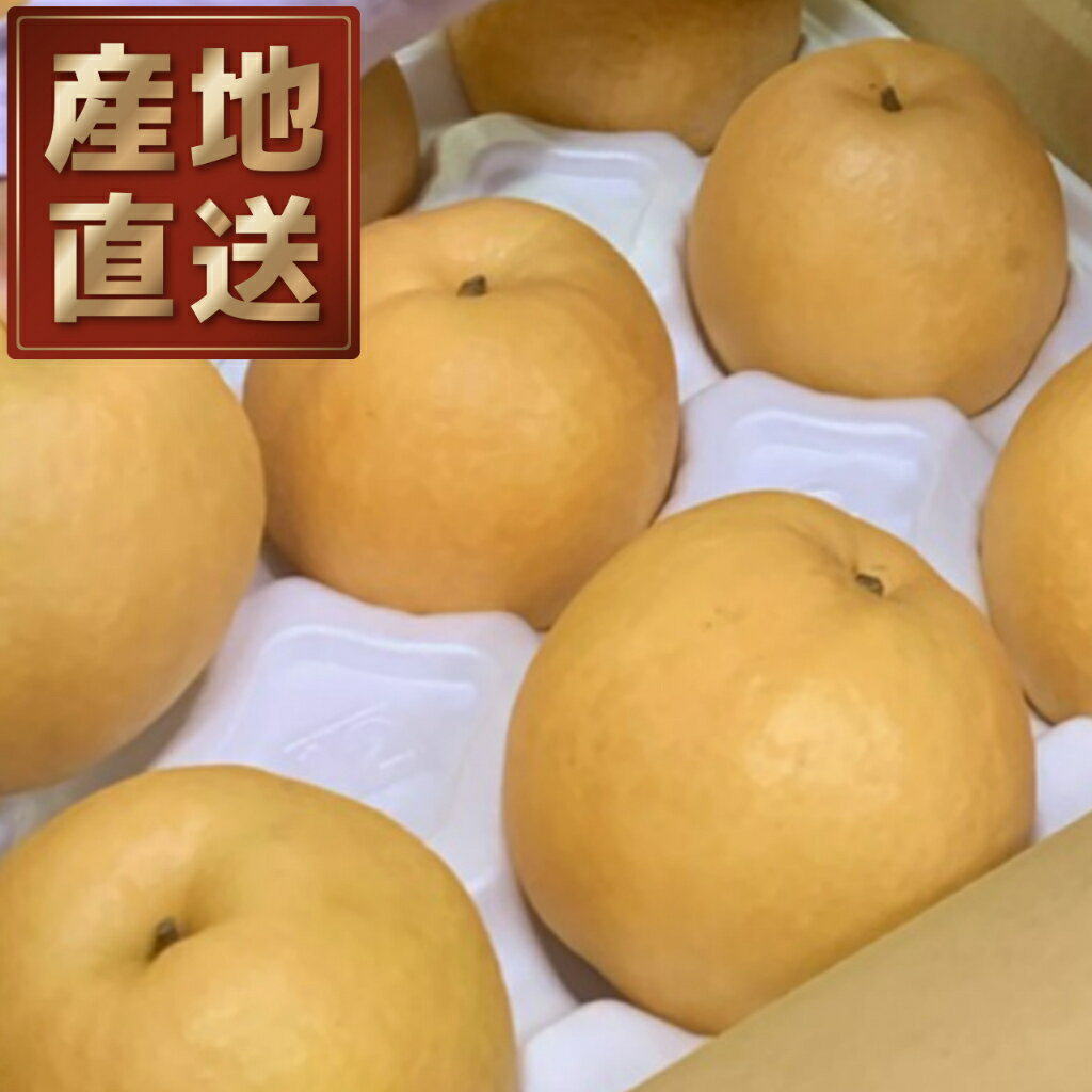 261.【先行予約】【産地直送】新興梨(しんこうなし) 5kg