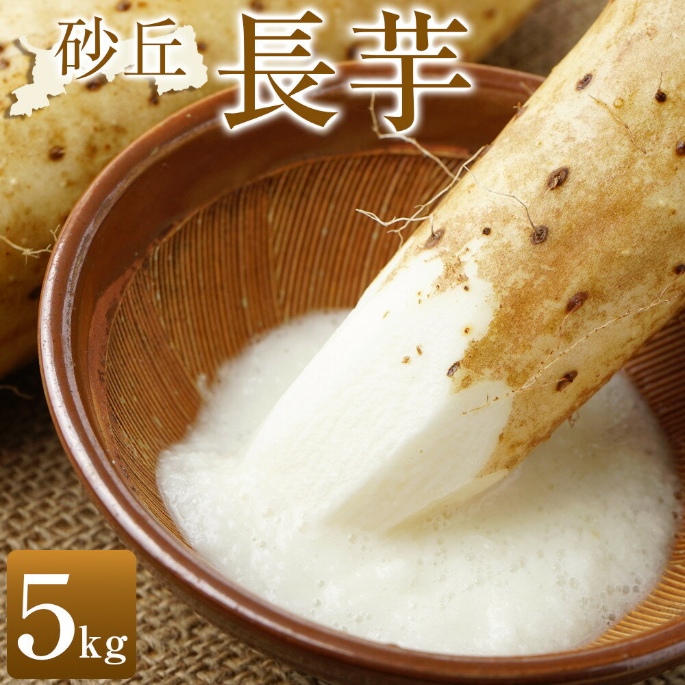 322.【先行受注】砂丘長芋 5kg ※2025年11月上旬~2026年3月下旬頃に順次発送予定 | 先行予約 野菜 やさい 根菜 とろろ 長芋 芋 国産 いも 鳥取県 北栄町 おすすめ 人気 送料無料