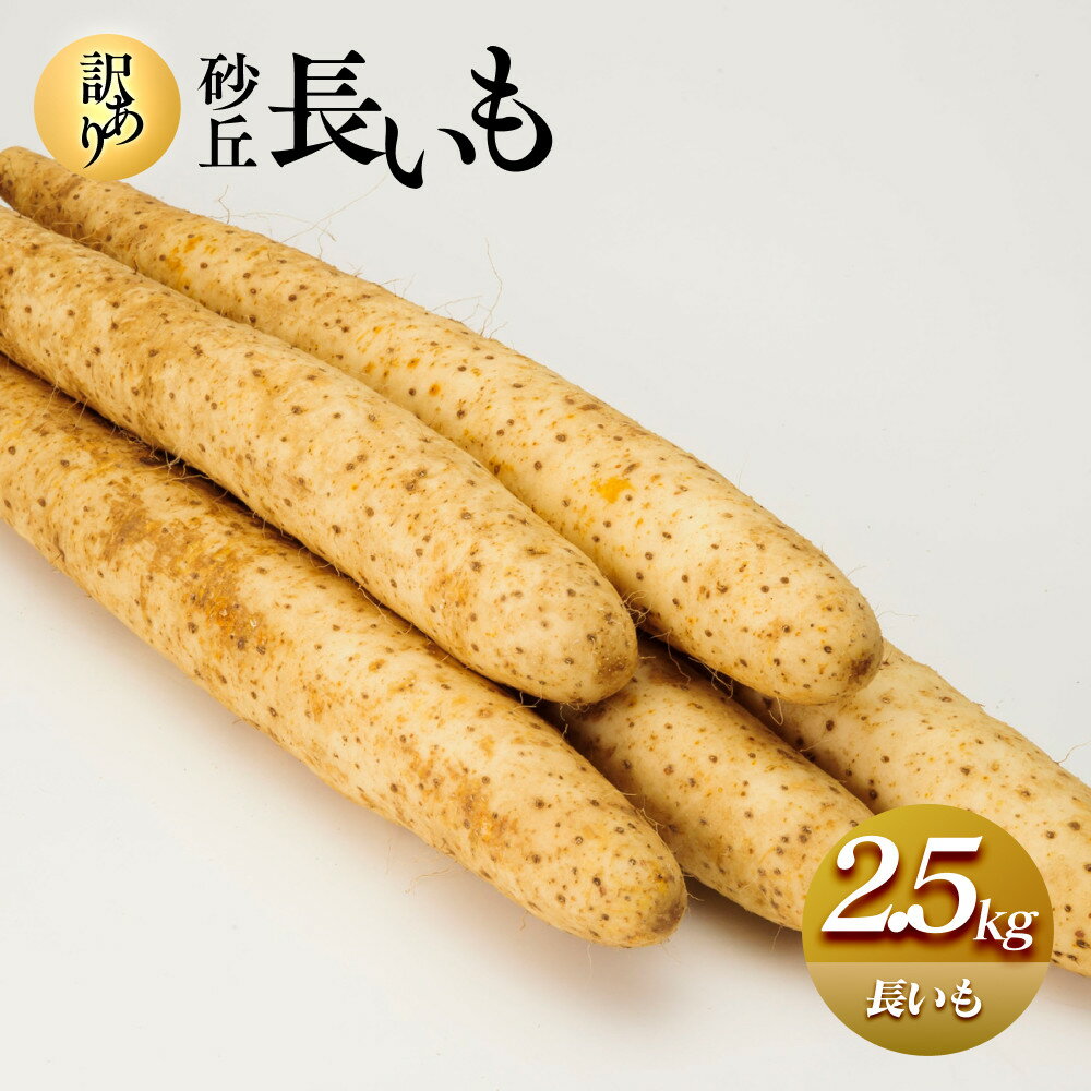 943.≪先行受注≫【訳あり】砂丘長いも2.5kg 長芋 ながいも 鳥取県産 ※11月上旬頃~3月下旬頃に順次発送予定 | 野菜 やさい 根菜 とろろ 長芋 芋 いも 鳥取県 北栄町 おすすめ 人気 送料無料