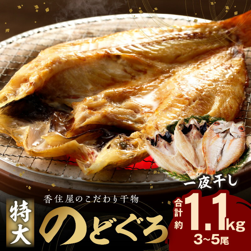 【レビューCP対象】山陰浜田 香住屋のこだわり干物「特大のどぐろ一夜干し」(3〜5尾) 魚 一夜干し 干物 のどぐろ 天然 加工品 ギフト 贈り物 【024_1981】