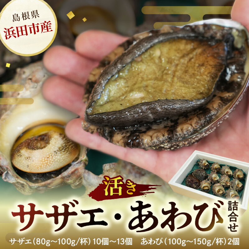 【レビューCP対象】豪華サザエ・あわび詰合せ【本田商店】 海鮮 貝 ふるさと納税 サザエ ふるさと納税 あわび 鮑 詰め合わせ セット BBQ バーベキュー 【033_1775】