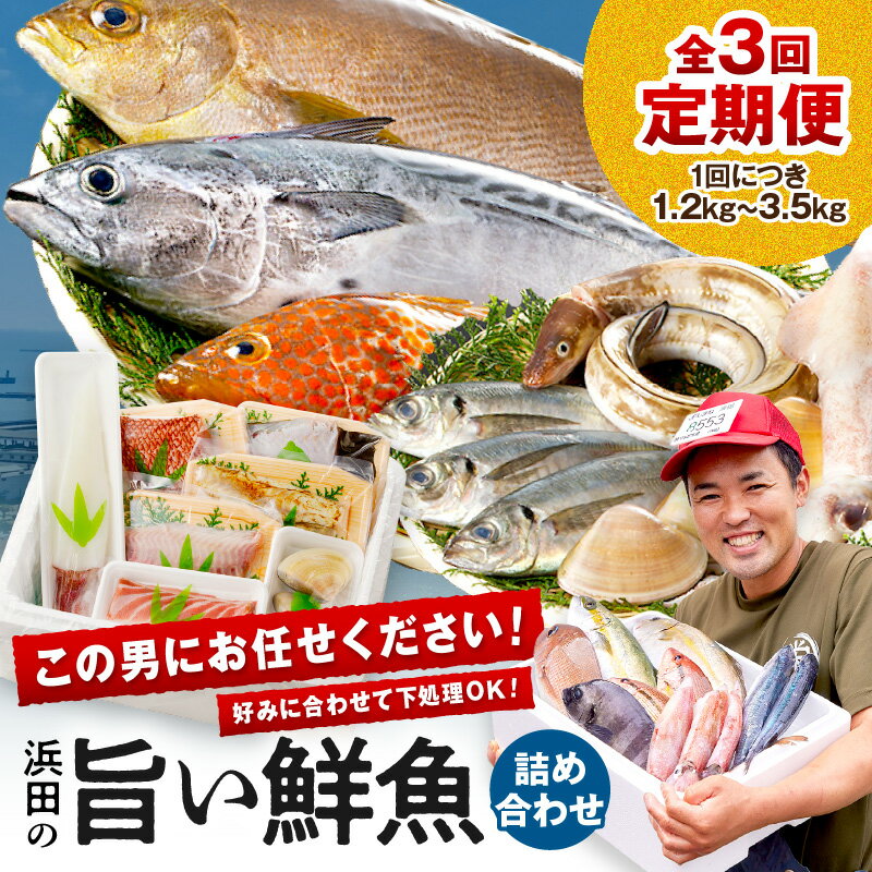 【レビューCP対象】【総合評価4.70獲得!鮮魚屋にお任せ!大満足の定期便】【定期便】 この男の目利き!〜浜田の旨い鮮魚3回お届けコース〜 定期便 セット 3回 海鮮セット 海鮮 鮮魚 セット 下処理済み 楽天市場 おすすめ 返礼品 お取り寄せ 【006_2042】