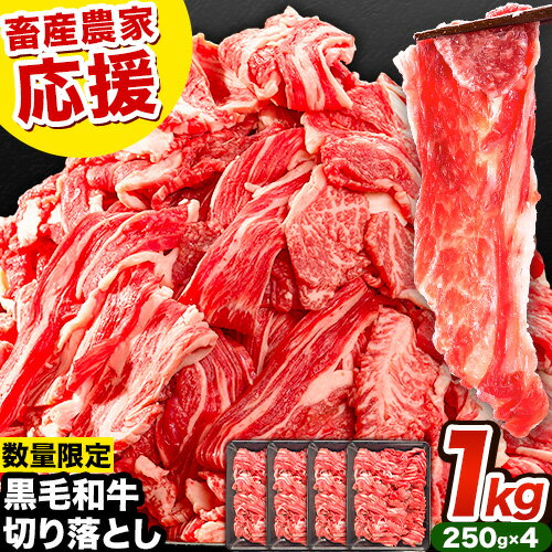 ★生産者応援!数量限定★ 牛肉 肉 黒毛和牛 切り落とし 訳あり 大容量 小分け 500g〜3kg 1パック 250g 定期便 有《30日以内に出荷予定(土日祝除く)》岡山県産 岡山県 笠岡市 お肉 にく カレー 牛丼 牛肉 切り落し 小分け 切落し 牛肉 小分け 牛肉