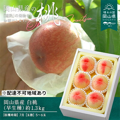桃 2026年 先行予約 白桃 早生種 約1.3kg 5~6玉 もも モモ 岡山県産 国産 フルーツ 果物 ギフト お届け:2026年7月上旬~2026年7月下旬