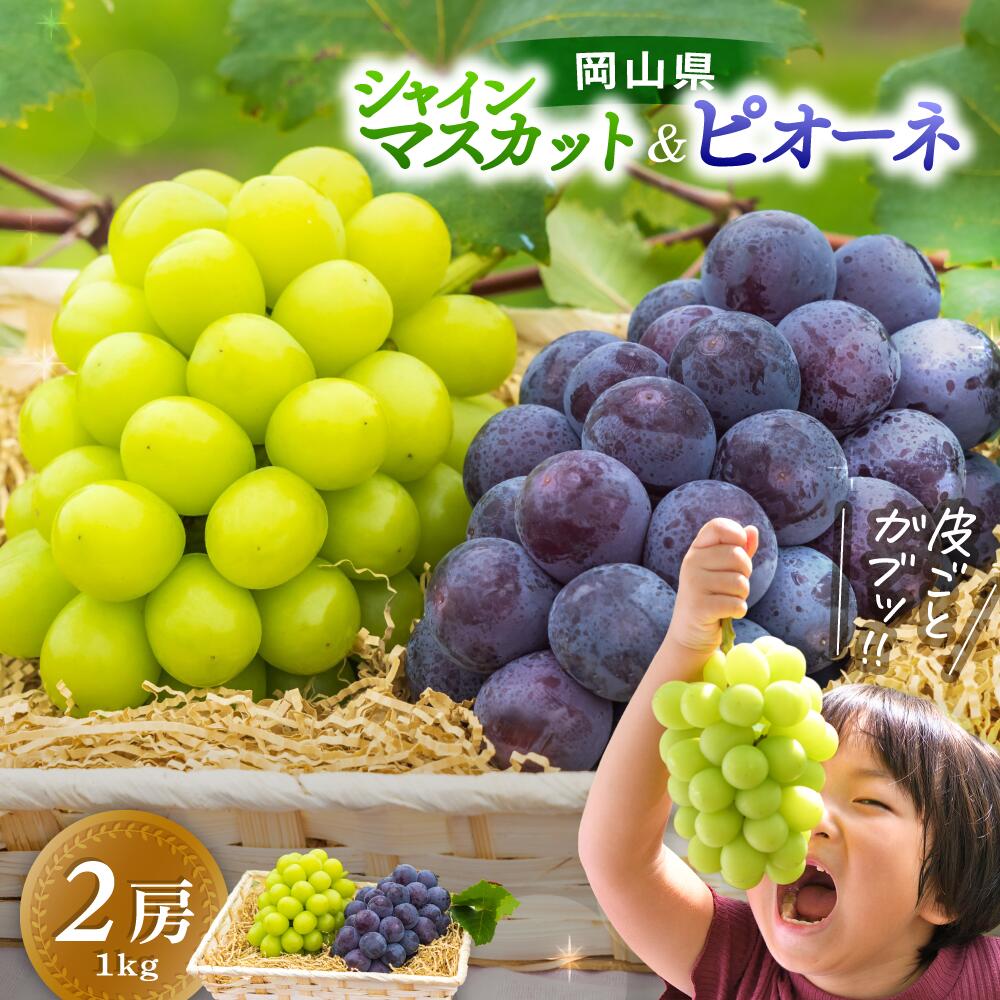 \2026年先行予約/ ★4.8 シャインマスカット&ニューピオーネ 1kg~1.5kg(2房) 贈答用にも 花笑み農園厳選 大粒 【2026年9月中旬~順次発送】【配送不可:離島】 食べ比べ 詰め合わせ 岡山 真庭 ピオーネ シャインマスカット 高級 贈答 真庭市 葡萄