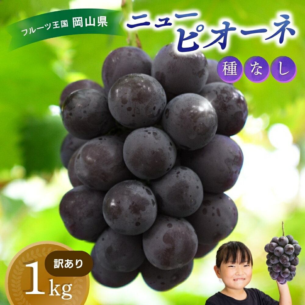 \2026年先行予約/ 【訳あり】 岡山 花笑み農園の 『訳ありニューピオーネ』1kg 【2026年9月上旬〜順次発送予定】【配送不可地域:離島】 ぶどう 葡萄 ブドウ フルーツ 果物 くだもの ピオーネ ニューピオーネ 人気 おすすめ 国産 産地直送 不揃い 岡山
