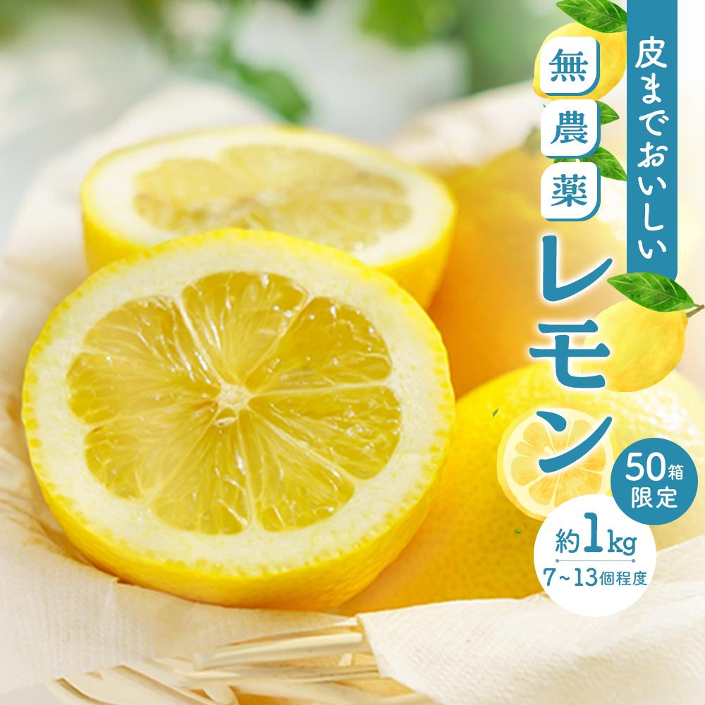 皮まで美味しい無農薬レモン 約1kg | 瀬戸田 瀬戸田レモン 檸檬 瀬戸内レモン フルーツ 柑橘 シトラス 無農薬 有機肥料 防腐剤不使用 レモネード はちみつ 尾道市 広島