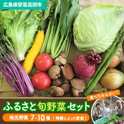 安芸高田市の小さな農家お届けするふるさと旬野菜セット 野菜類 詰合せ やさい