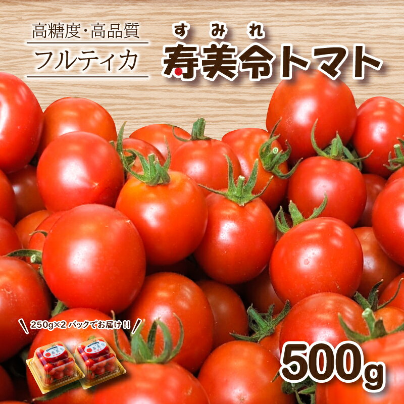 期間限定 フルーツトマト 寿美令トマト 500g ( 250g パック×2個 ) ミニトマト プチトマト 小分け 旬 野菜 サラダ 新鮮 季節 期間限定 下関 山口