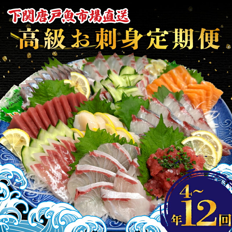 お刺身 定期便 選べる 回数 4回 6回 12回 お刺身 ふぐ ヒラメ いくら 鯛 のどぐろ サーモン アジ ヒラソ ホタテ マグロ クエ 高級 冷凍 魚 鮮魚 下関 唐戸市場 直送 お楽しみ ギフト プレゼント 海鮮 刺身 魚介 旬魚 お祝い 贈答 お中元 お歳暮 父の日
