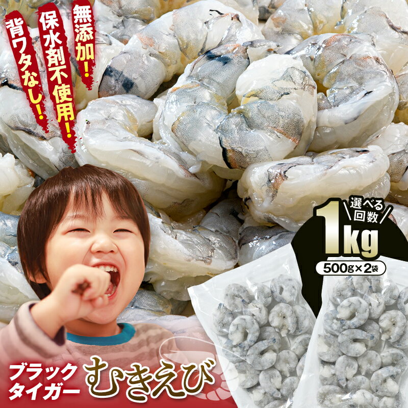 レビューキャンペーン実施中 冷凍庫に常備! 無添加 えび 1kg 背ワタなし 500g 小分け バラ凍結 ブラックタイガー むきえび 選べる回数 定期便 エビ 海老 むき身 海鮮 魚介類 保水剤不使用 下処理済み F6L-1124var