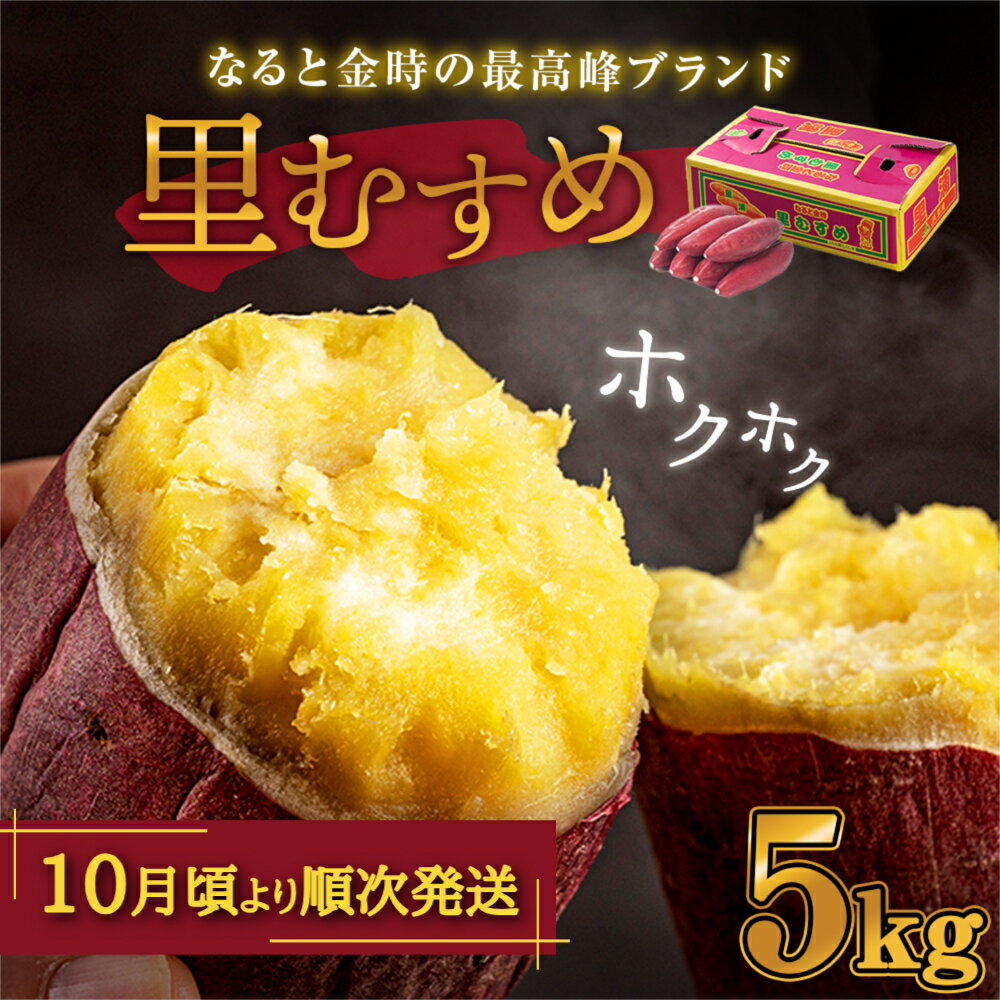 【 予約受付中・2025年10月頃より順次発送 】 さつまいも なると金時 里むすめ 5kg( 14 〜 20本 )| 鳴門金時 ブランド ほくほく 甘い 熟成 国産 スイーツ 焼き芋 焼芋 焼いも おやつ 天ぷら 干し芋 ギフト 贈り物 お土産 おみやげ 産地直送 さつま芋 里娘