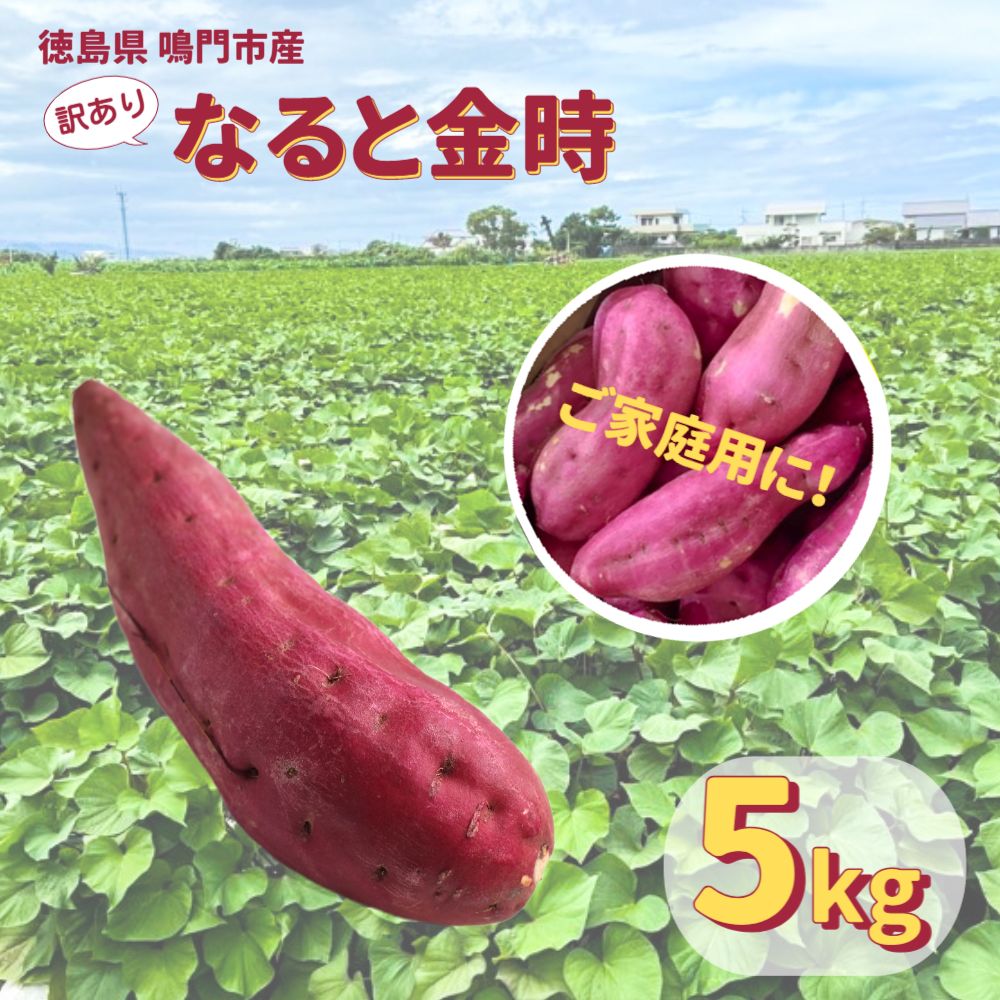 本場・徳島県鳴門市産「ご家庭用 ( 訳あり ) なると金時 」約5kg【数量限定】なると金時 ほくほく 甘い 熟成 国産 産地直送 スイーツ おやつ 天ぷら 干し芋 ギフト