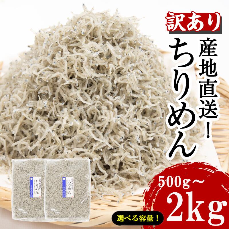 【ふるさと納税】 海のまち和田島から産地直送でお届け! 訳あり ちりめん 選べる容量 500g 1kg 1.5kg 2kg 国産 しらす ちりめんじゃこ 鰯 いわし 魚 海鮮 干物 産地直送 ご飯 ごはん おにぎり 米 こめ 不揃い 規格外 家庭用 おつまみ おかず 徳島 小松島