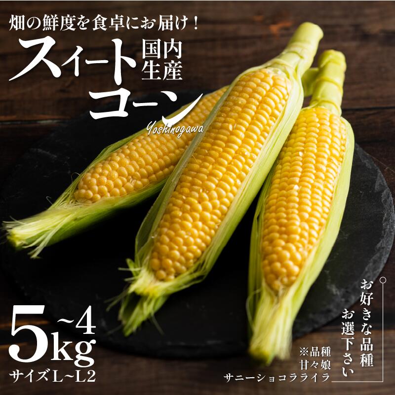 とうもろこし スイートコーン 選べる 品種 容量 サニーショコラライラ 5kg 甘々娘 4kg トウモロコシ 極甘 糖度 コーン 野菜 やさい サラダ スープ コーンスープ BBQ 旬 朝採り ビタミン かんかん娘 カンカン娘 艦娘 人気 お取り寄せ