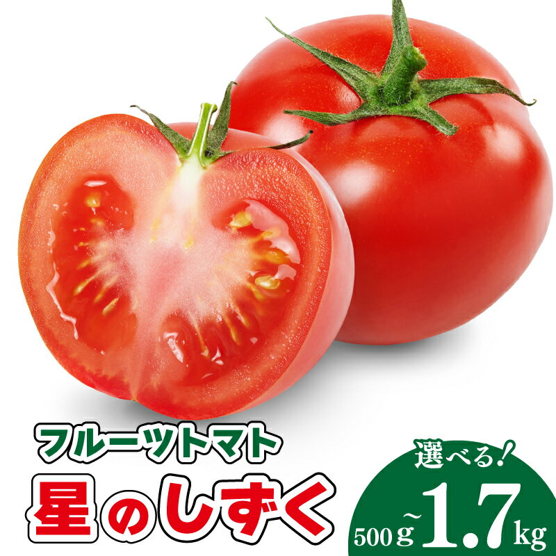 トマト フルーツトマト 500g から 1.7kg 野菜 トマト 星のしずく 完熟 高濃度 糖度8以上 高級 スイーツ ギフト 贈答用 徳島県 阿波市 原田トマト