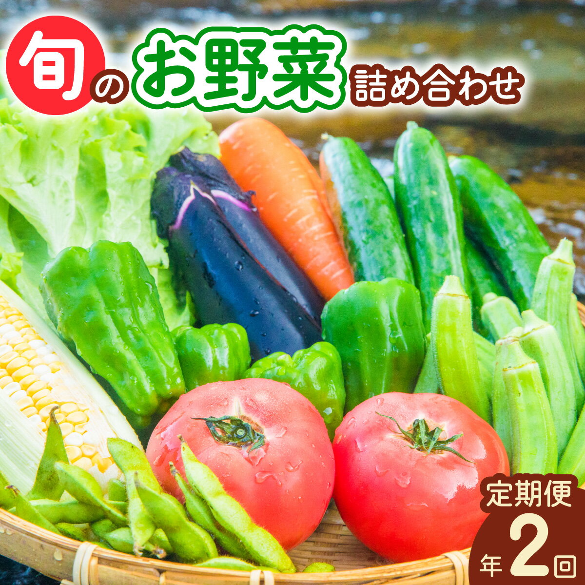 【定期便年2回】阿波の国海陽町 旬のお野菜詰め合わせセット 8~12品×2回 野菜 定期便 野菜定期便 年2回 徳島県 海陽町産 野菜セット 詰め合わせ 4-5名様以上 向け 季節の野菜 やさい 産地直送 新鮮 採れたて お試し