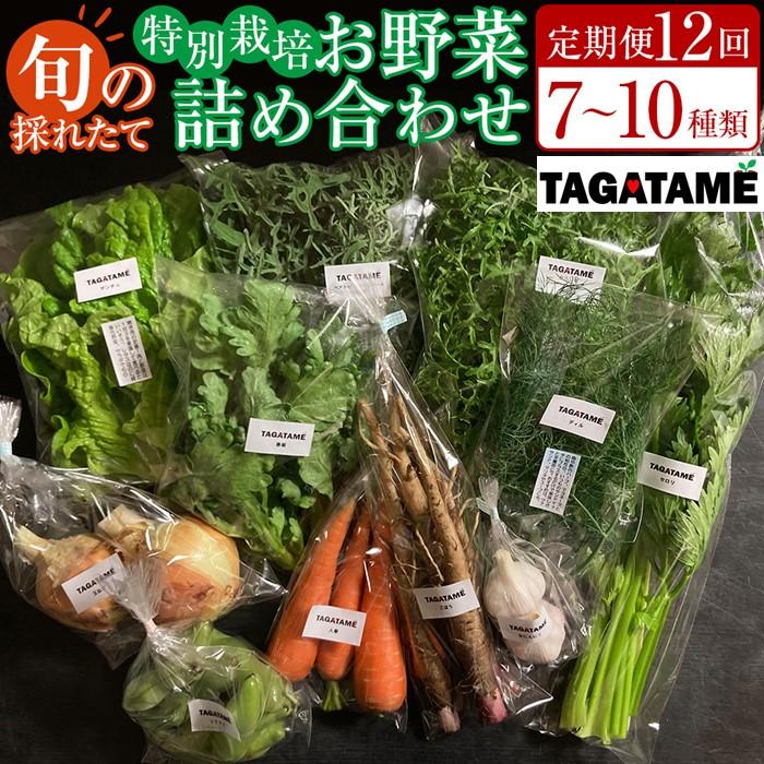 【定期便全12回】旬の採れたて 7~10種類お野菜詰め合わせセット(1~2名様) TAGATAME タガタメ【野菜 特別栽培 有機野菜 農薬不使用 旬 無農薬】