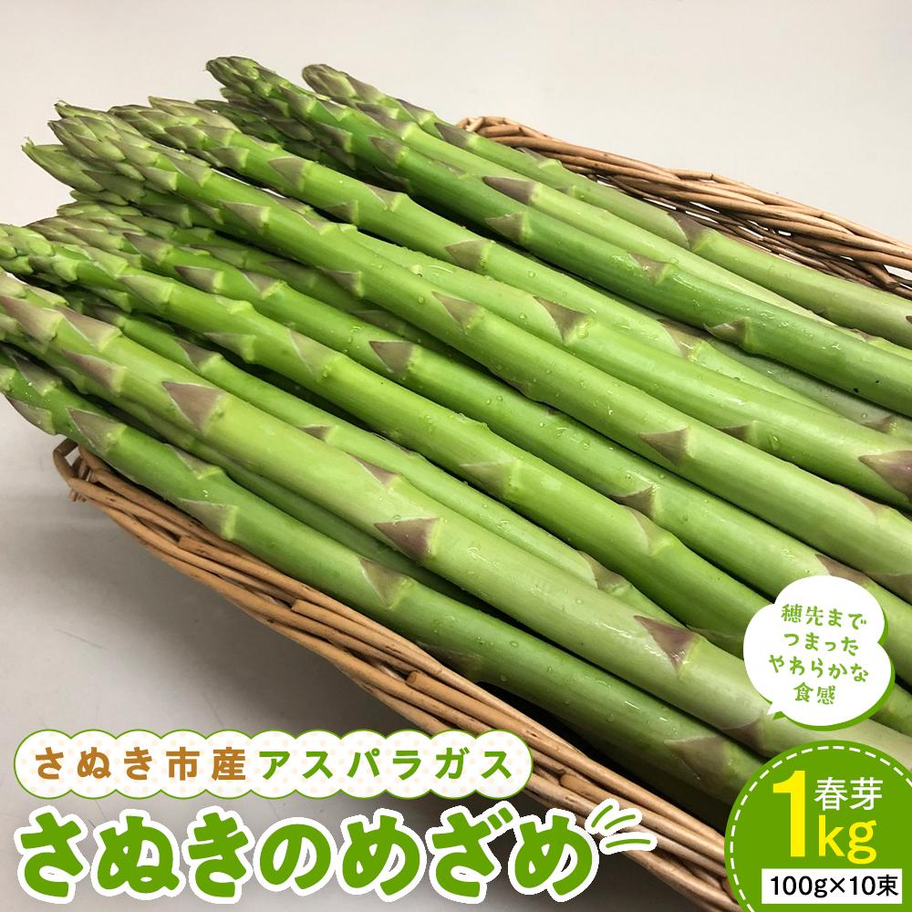 【3月中旬頃~発送】さぬき市産 アスパラガス さぬきのめざめ 春芽 1kg | 野菜 アスパラガス アスパラ グリーン お取り寄せ 送料無料 期間限定