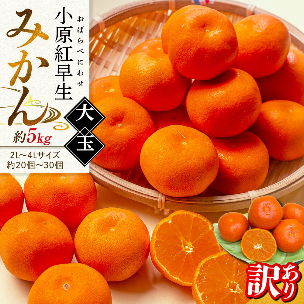 【11月下旬頃~発送】訳あり 小原紅早生みかん (大玉) 約5kg | みかん 訳あり 小原紅早生 大玉 果物 フルーツ 柑橘 スイーツ 特産品 デザート 旬 期間限定