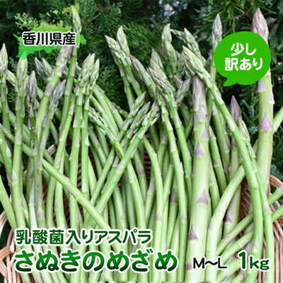 令和8年産 はなまる農園の乳酸菌入りアスパラ「さぬきのめざめ」少し訳あり 1kg(M~L) 野菜セット 野菜 アスパラガス  お届け:2026月2月中旬~10月下旬
