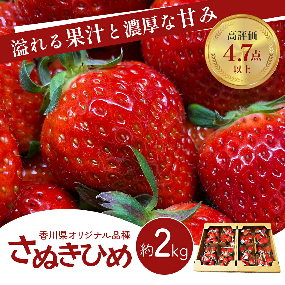 《高評価》 香川県オリジナル品種! いちご【さぬきひめ】2kg( フルーツ 果物類 苺 さぬき姫 取り寄せ 糖度 甘い 農園 特産品 秀品 大粒 デザート 人気 ストロベリー 冷蔵便 ) 香川県東かがわ市  お届け:2026年1月下旬~6月上旬
