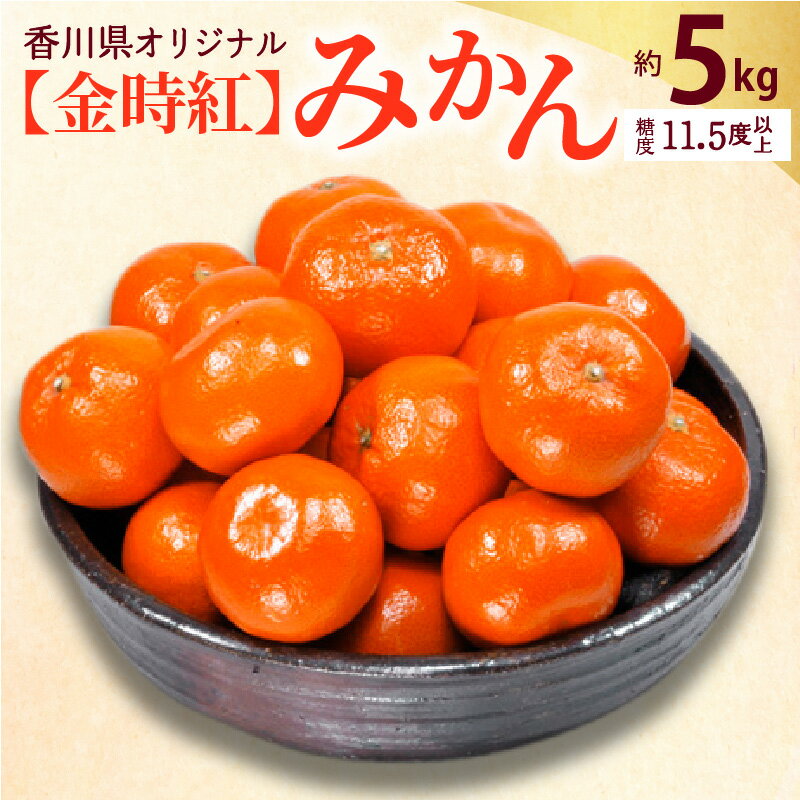 【先行予約】【配送不可地域:北海道・沖縄県・離島】みかん 約 5kg 金時紅 約40〜60玉 サイズ L〜S 糖度11度以上 高糖度 濃厚 香川県 三豊市 オリジナル 小原紅早生 果物 フルーツ 常温 お取り寄せ お取り寄せフルーツ 送料無料 五色青果
