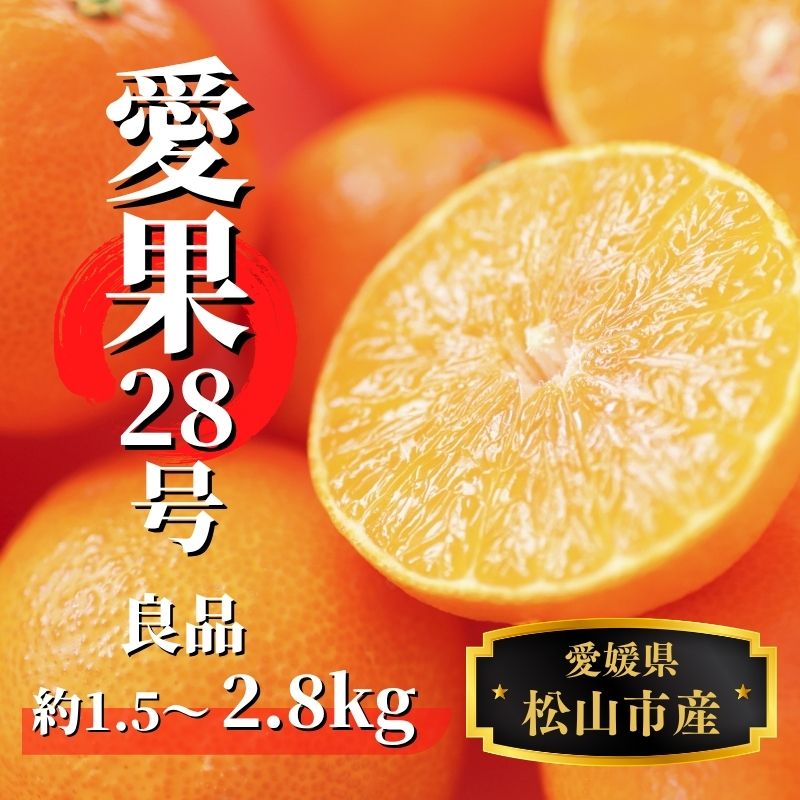 【早期予約受付中!2025年12月頃から順次発送】 愛果28号 約1.5kg / 約2.8kg 【良品】 | 愛果28号 まどんな あいか 柑橘 みかん 果物 くだもの フルーツ おすすめ 高級 人気 お取り寄せ グルメ ギフト 期間限定 数量限定 ご当地 愛媛県 松山市