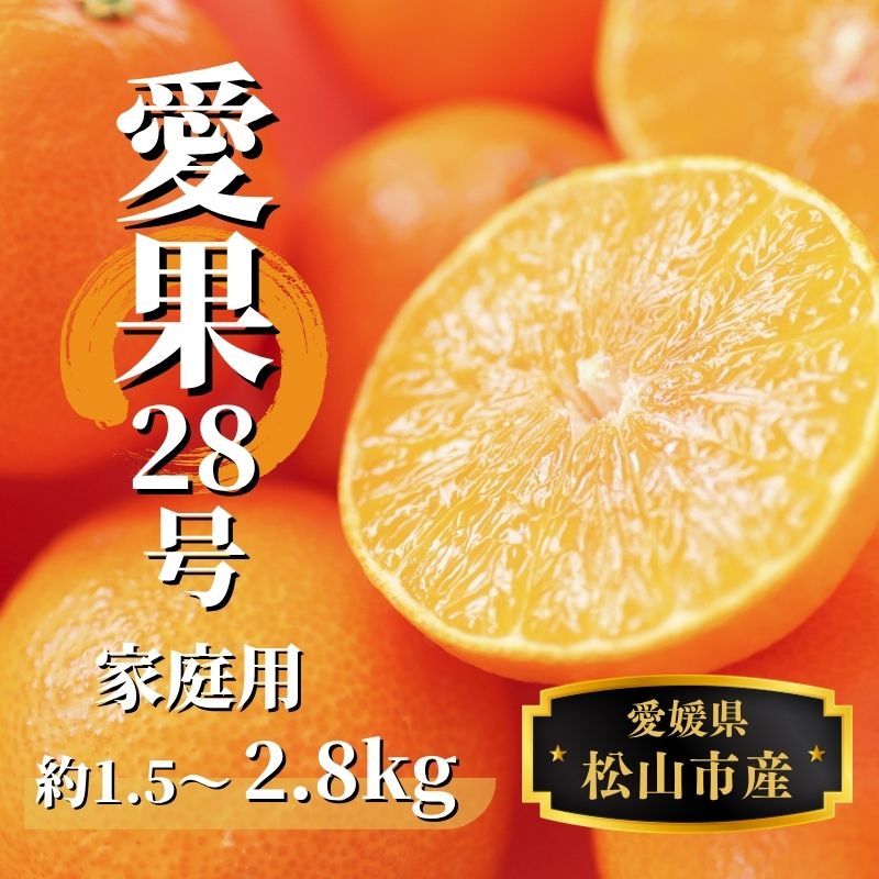 【12月から順次発送】 愛果28号 約1.5kg / 約2.8kg(ご家庭用)| 愛果28号 まどんな 柑橘 みかん 紅まどんな と同一品種 果物 くだもの フルーツ 高級 人気 お取り寄せ グルメ ギフト 期間限定 数量限定 ご当地 愛媛県 松山市