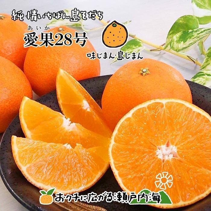 【ふるさと納税】 【12月中頃から発送予定】愛果28号 約1.5kg 6玉 特選品 大玉 | 12月中頃から順次発送予定 あいか まどんな 紅まどんな と同品種 柑橘 みかん 果物 くだもの フルーツ おすすめ 高級 人気 お取り寄せ グルメ ギフト 期間限定 数量限定 ご当地 愛媛県 松山市