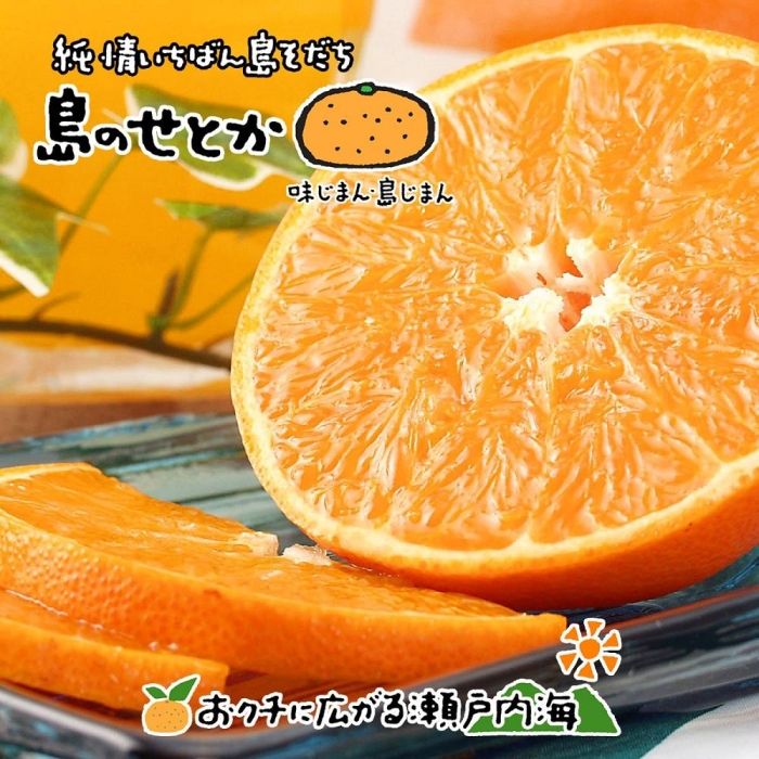 【2026年3月上旬から発送】 せとか 訳あり 約2kg 愛媛 中島産 柑橘 みかん ミカン mikan 果物 フルーツ 高級柑橘 希少品種 家庭用 自宅用 国産 産地直送 新鮮 人気 おすすめ グルメ お取り寄せ 期間限定 数量限定 希望の島 愛媛県 松山市 送料無料