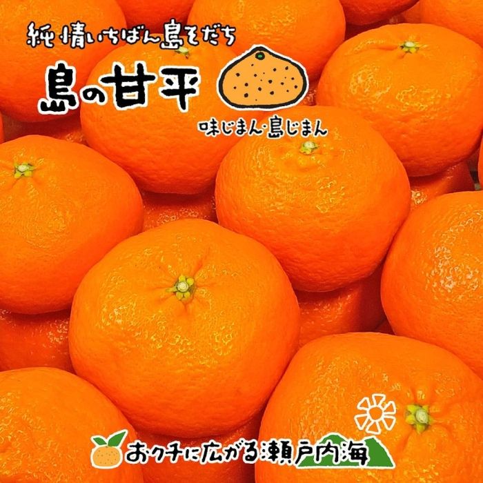 【2026年2月中旬から発送予定】 甘平 ( かんぺい ) 約3kg 家庭用 愛媛 中島産 | 愛媛 みかん 先行予約 蜜柑 柑橘 果物 くだもの フルーツ お取り寄せ グルメ 期間限定 数量限定 人気 おすすめ 愛媛県 松山市