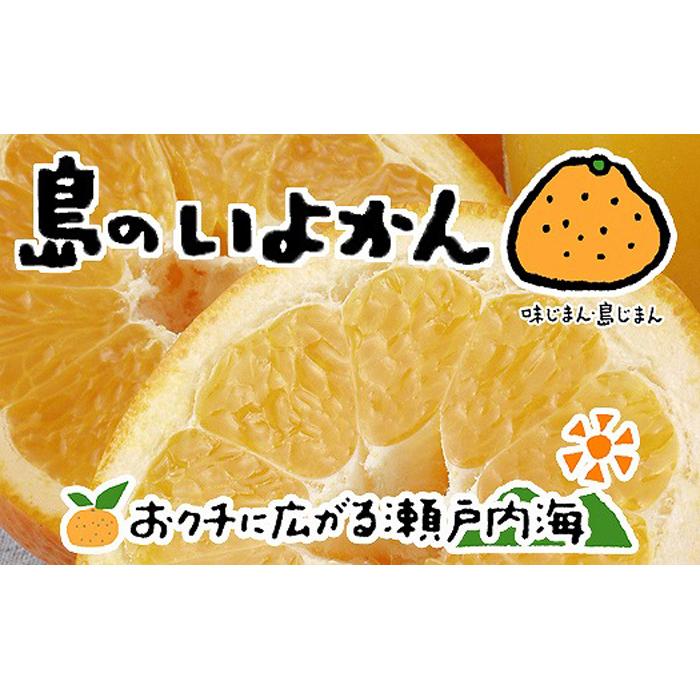 【2026年1月下旬から発送】 伊予柑 4kg いよかん 愛媛 中島産 | 愛媛 みかん 先行予約 蜜柑 柑橘 果物 くだもの フルーツ お取り寄せ グルメ 期間限定 数量限定 人気 おすすめ 愛媛県 松山市