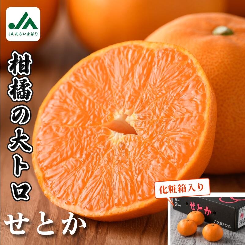 【先行予約】【数量限定】せとか 化粧箱 3L~L 10~15玉【KC00630】せとかみかん setoka せとかふるさと納税 果物ふるさと 国産 高級フルーツ 愛媛県産 みかん フルーツ 果物 大きい ギフト 贈答 フルーツギフト【化粧箱入り】【2026年2月上旬から配送開始】