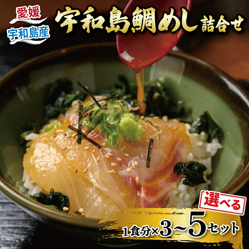 タイ 鯛 宇和島鯛めし 選べる 内容量 3~5食セット 辻水産 生鯛めし 真鯛 マダイ 刺身 お刺身 刺し身 漬け丼 漬け 漬丼 丼 郷土料理 鯛飯 海鮮 海鮮丼 人気 魚介 冷凍 小分け 解凍簡単 時短 ご当地グルメ お手軽調理 鮮度抜群 当地 国産 愛媛 宇和島
