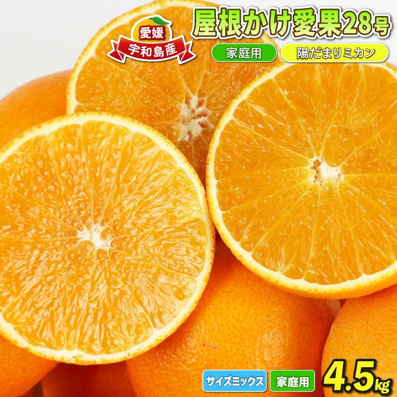 柑橘 蜜柑 愛果28号 4.5kg 家庭用 屋根かけ サイズ ミックス 陽だまりミカン 高級 ブランド オリジナル 限定 品種 甘い ゼリー 果物 くだもの フルーツ 愛媛みかん 愛媛蜜柑 みかん mikan あいか 農家直送 産地直送 数量限定 国産 愛媛 宇和島 B018-050004