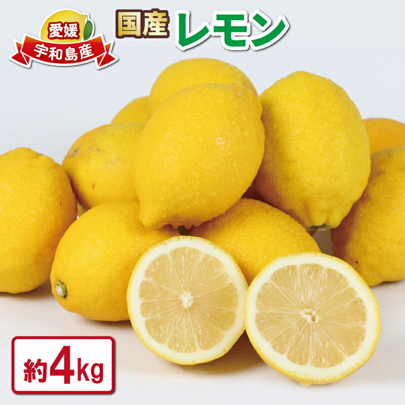 レモン 檸檬 4kg つばさ農園 国産レモン 先行予約 防腐剤 ・ ワックス 不使用 remon 青レモン れもん レモン果汁 高級 果物 ビタミン フルーツ くだもの 産直 1万円 10000円 寄附 お取り寄せ 農家直送 産地直送 数量限定 国産 愛媛 宇和島 B010-048012