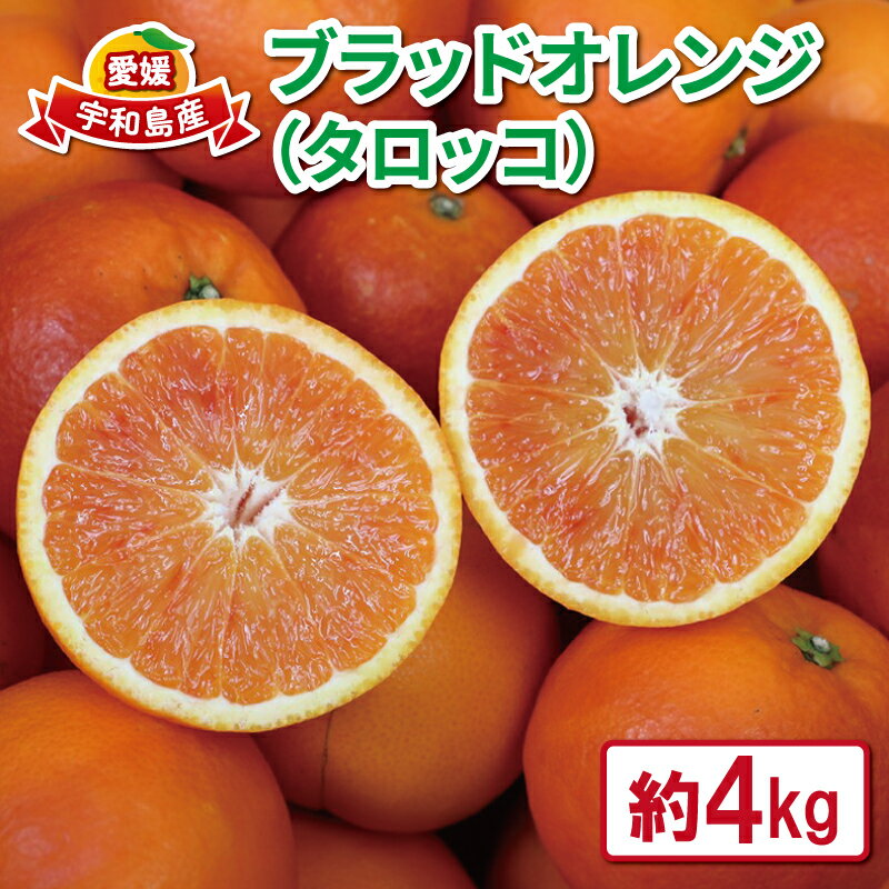 ブラッドオレンジ タロッコ 4kg 愛媛みかん つばさ農園 オレンジ 果物 くだもの フルーツ ブラッド オレンジ 早生 柑橘 みかん 赤 愛媛蜜柑 愛媛ミカン みかん ミカン 蜜柑 mikan 予約 農家直送 産地直送 数量限定 国産 愛媛 宇和島 B010-048003