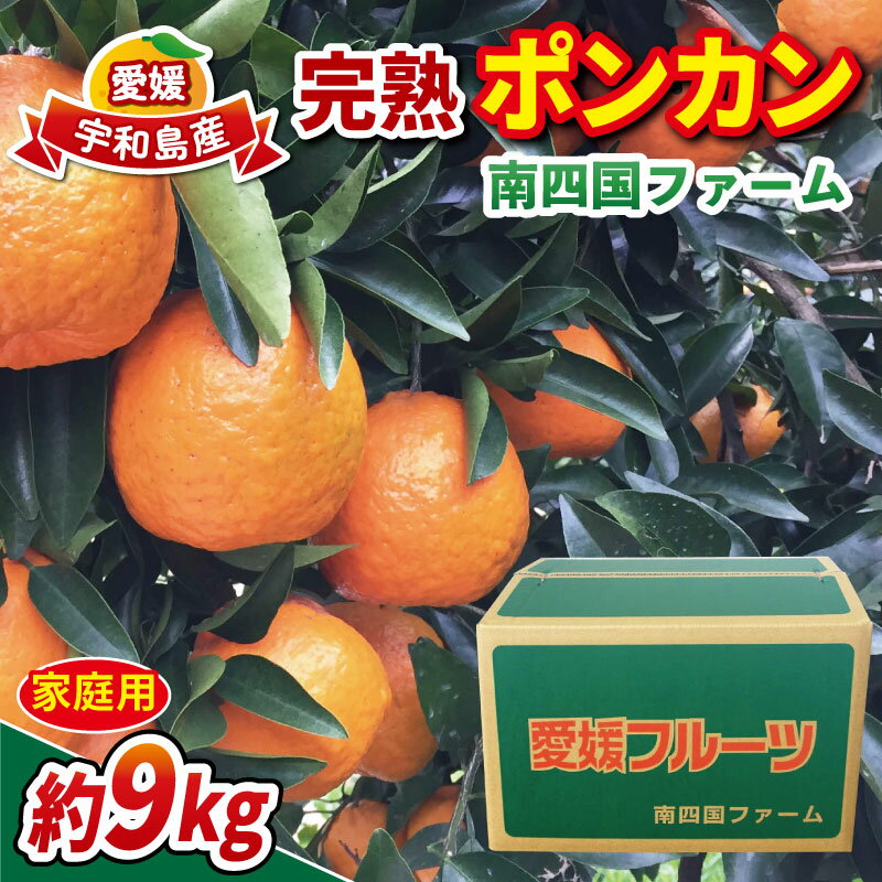 家庭用 完熟 ポンカン 約 9kg みかん 南四国ファーム ぽんかん ミカン 果物 フルーツ 柑橘 蜜柑 mikan くだもの かんきつ 美味しい 甘い 酸味 愛媛ミカン 愛媛みかん 愛媛県産 産直 お取り寄せ 数量限定 産地直送 農家直送 国産 愛媛 宇和島 B013-035004
