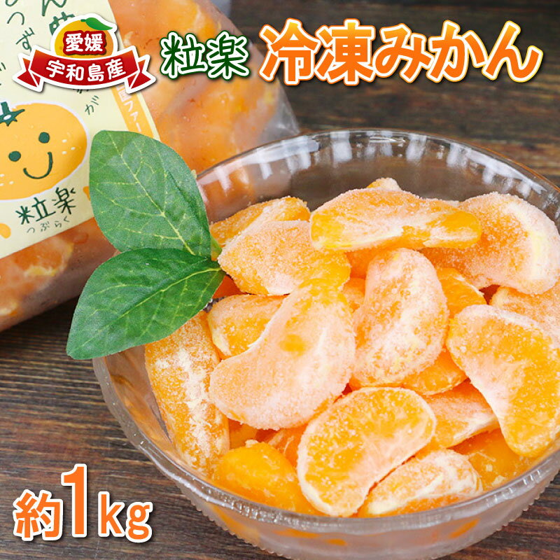 冷凍 みかん 1kg 1袋 粒楽 冷凍みかん 冷凍フルーツ 南四国ファーム 蜜柑 デザート スイーツ シャーベット アイス 果物 フルーツ 柑橘 冷凍 加工品 産地直送 国産 愛媛 宇和島 J010-035018