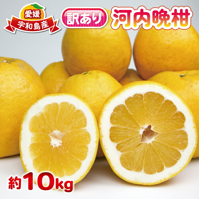 愛媛みかん 訳あり 河内晩柑 10kg 杉本屋 先行予約 ジューシー 爽やか わけあり かわちばんかん 愛媛県産 果物 フルーツ 柑橘 みかん mikan 蜜柑 和製 グレープフルーツ 愛媛蜜柑 愛媛ミカン ミカン 特産品 数量限定 産地直送 国産 愛媛 宇和島 B010-143001