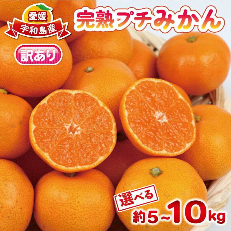 みかん 小玉 数量限定 訳あり 完熟 プチ ミカン 選べる 内容量 5kg ~10kg 杉本屋 先行予約 完熟みかん mikan わけあり 小玉みかん 小みかん 愛媛みかん 愛媛蜜柑 温州 早生温州 温州みかん 果物 くだもの フルーツ 柑橘 産直 産地直送 国産 愛媛 宇和島