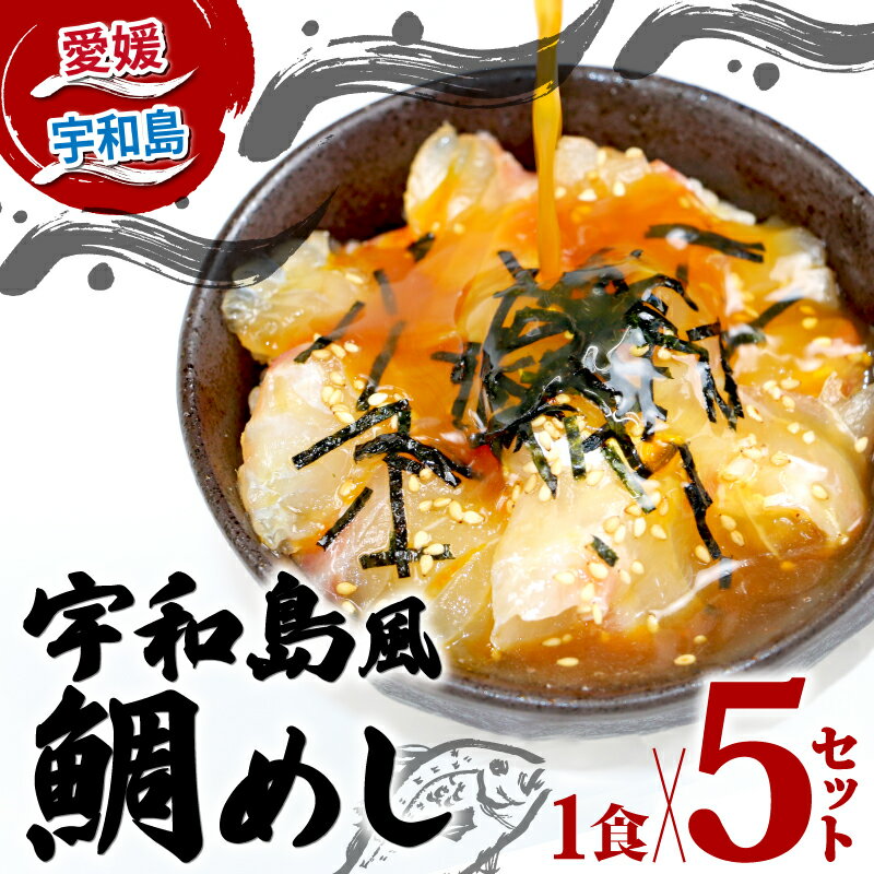 鯛めし 5食 セット 宇和島風 南予ビージョイ 生鯛めし 真鯛 鯛 マダイ タイ tai 刺身 お刺身 刺し身 漬け丼 漬け 海鮮丼 水産 加工品 海鮮 鯛飯 海鮮 人気 海の幸 魚介 冷凍 小分け パック お手軽 便利 国産 愛媛 宇和島 D010-150011