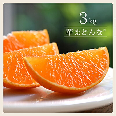 コウ果樹園「華まどんな」3kg【D33-22】_ みかん ミカン 柑橘 マドンナ まどんな 果物 くだもの フルーツ 甘い 希少 ぷるぷる 果樹園 愛媛 ゼリーみたい デザート 愛媛みかん 密柑 美味 人気 おすすめ 送料無料 【1051536】