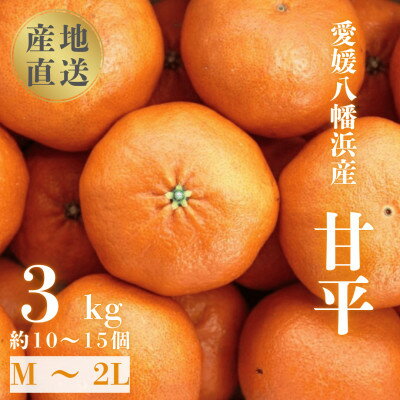 \ 愛媛が誇る 高級みかん 希少品種 / 甘平 (かんぺい) 3kg 【D20-5】_ 蜜柑 みかん ミカン フルーツ 果物 くだもの 柑橘類 柑橘 人気 美味しい 愛媛県 八幡浜市 ふるさと 【1094583】